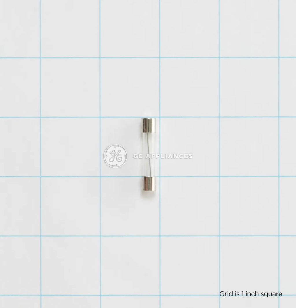 GE Microwave Fuse WB27X11138