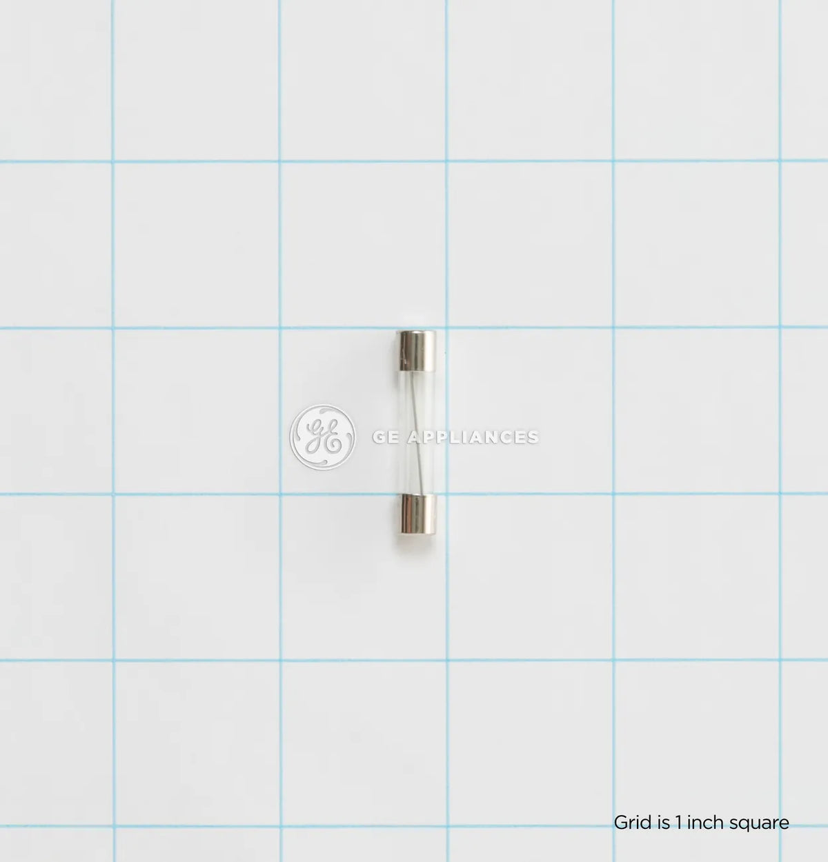GE Microwave Fuse WB27X11138
