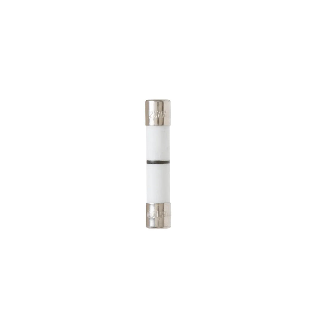 GE Microwave Oven Line Fuse WB27X10928