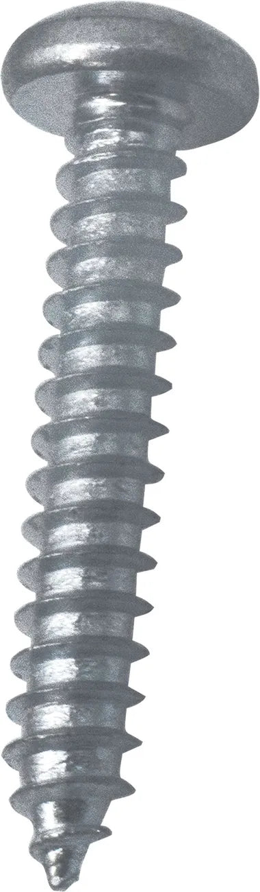 Bosch Pan Head Screw 8-18 x 25.4 T-20 00422126