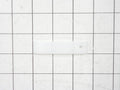 GE Dryer Front Drum Bearing Slide White WE1M504