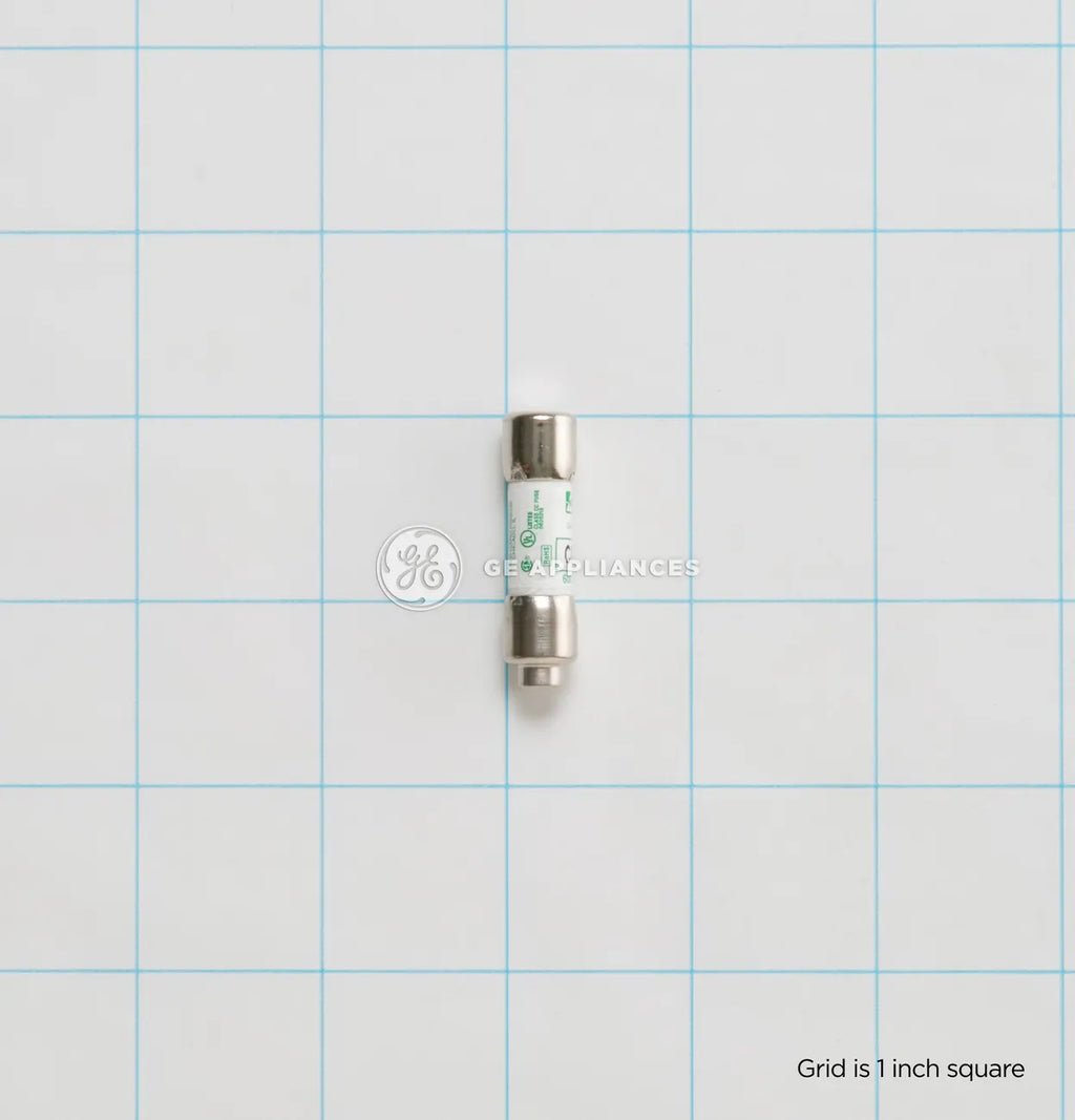 GE Washer/Dryer Fuse 30 Amp 120V WE1M1002