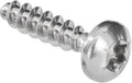 Bosch Self-Tapping Screw 4x16mm Torx 20 00167241
