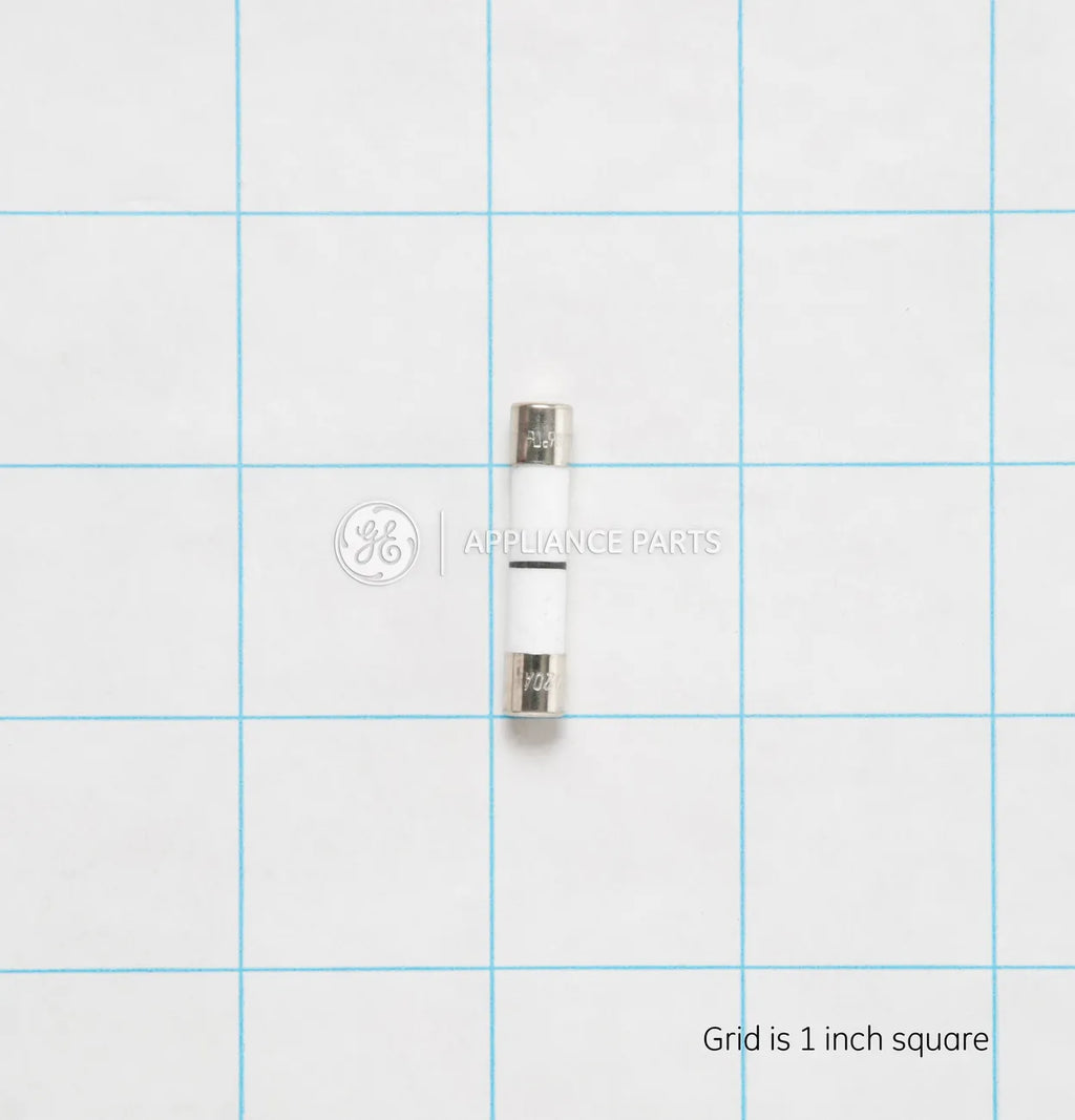 GE Microwave Oven Line Fuse WB27X10928