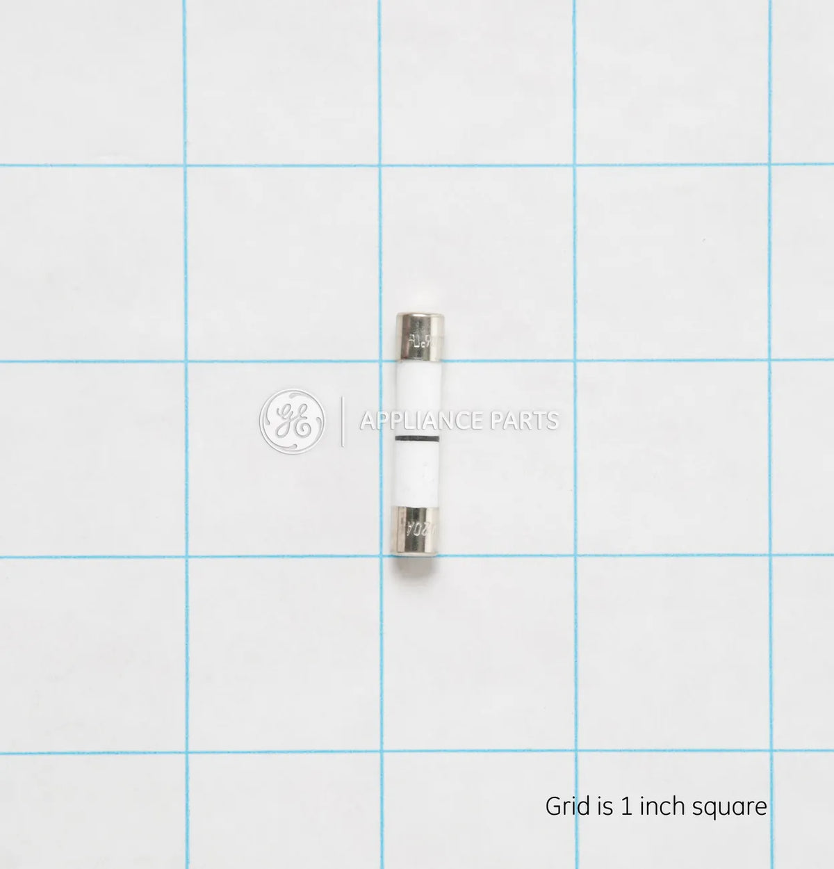 GE Microwave Oven Line Fuse WB27X10928