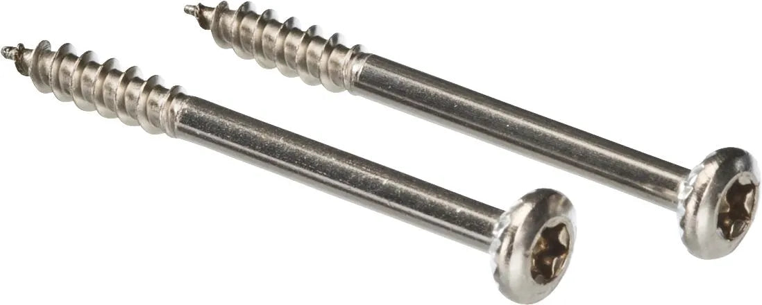Bosch Appliance Screws Set of 2 00612562