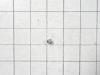 Whirlpool Range Screw WP3400882