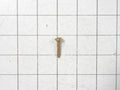 Whirlpool Range Top Screw WP3196164