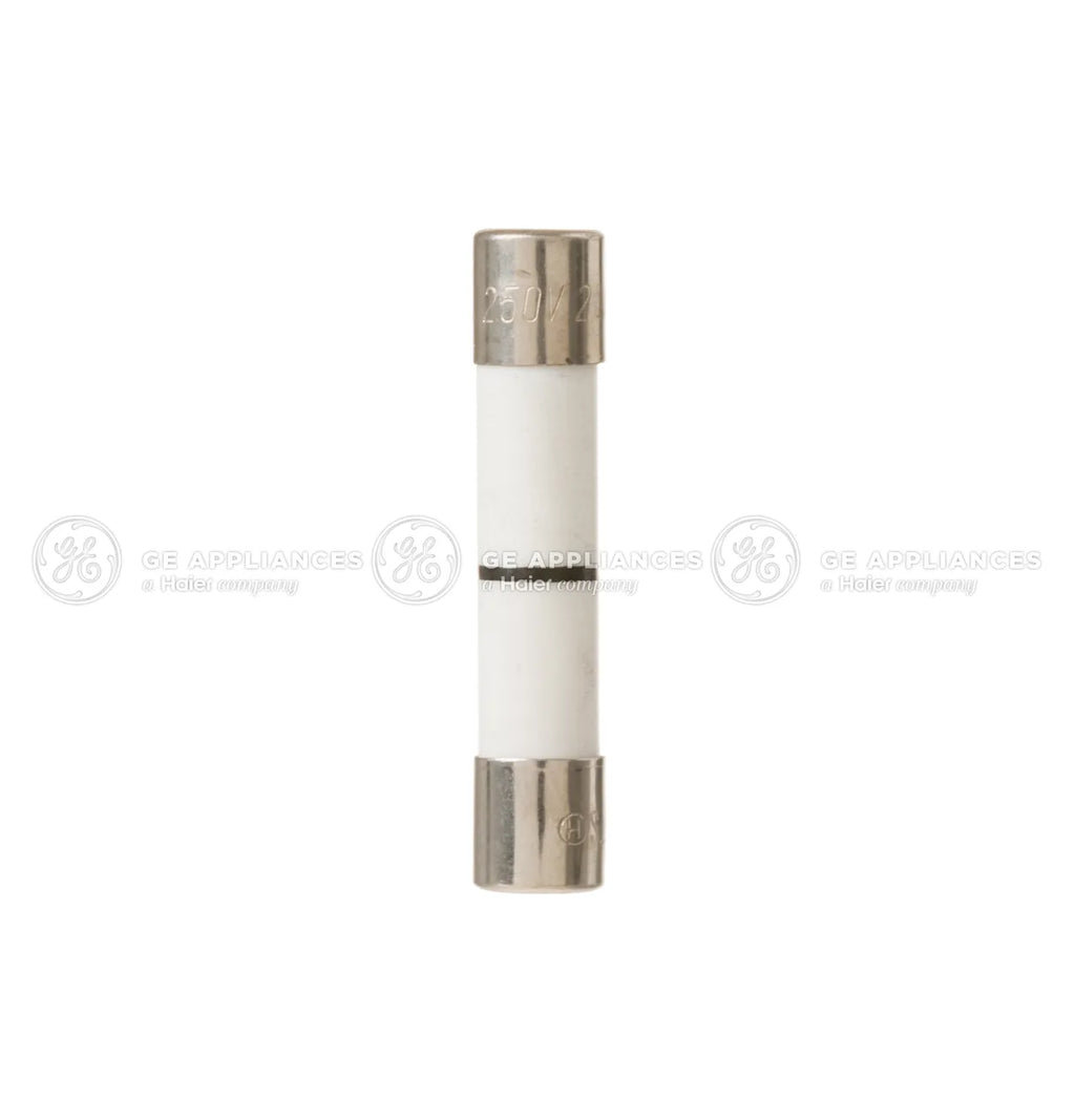GE Microwave Line Fuse WB27X25389