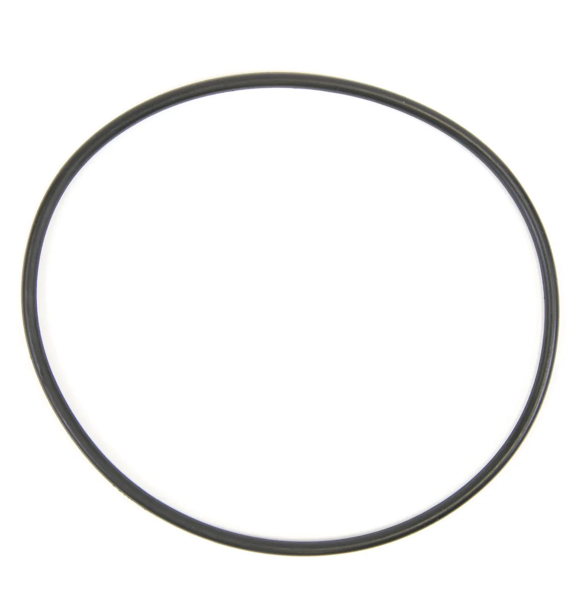GE Water Filter O-Ring WS03X10054