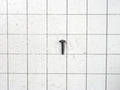 Bosch Dishwasher Screw 00188670