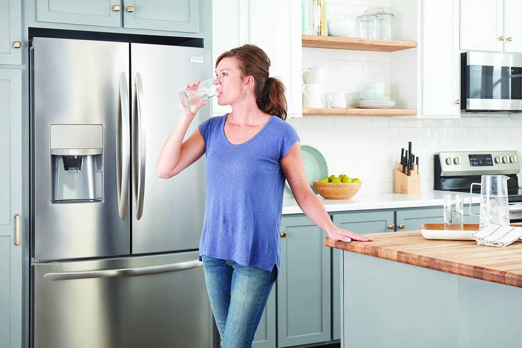 Frigidaire PureSource Plus Refrigerator Water Filter WFCB