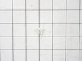 Frigidaire Freezer Gasket Retainer Clip 5303212828