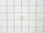 Frigidaire Freezer Gasket Retainer Clip 5303212828
