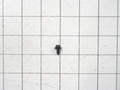 GE Washer Screw WH2X930