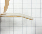 Frigidaire Refrigerator Permagum Seal Gasket 5305877995