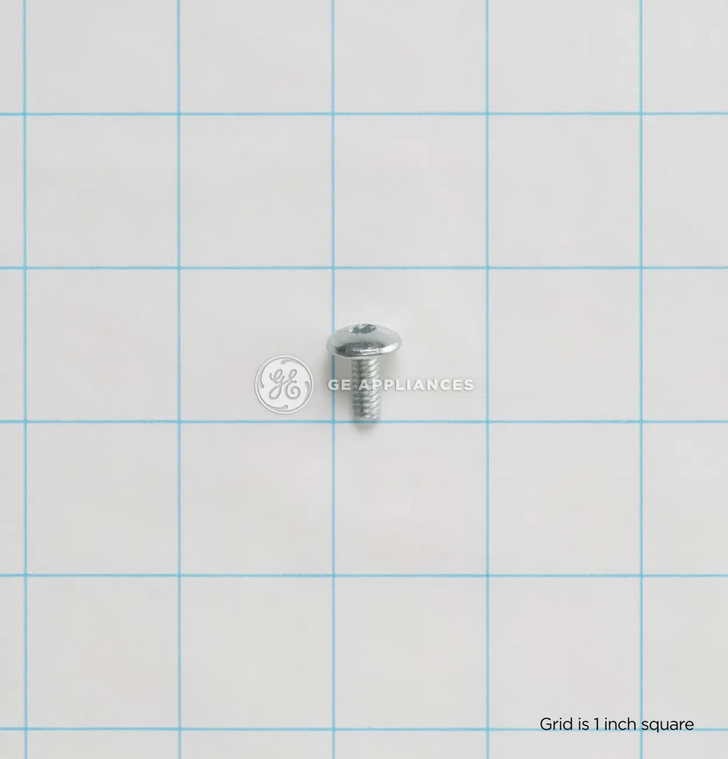 GE Dryer Screw #10 WE2M163