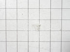 Frigidaire Freezer Gasket Retainer Clip 5303212828