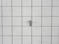 Frigidaire Washer Drum Vane Screw 131302800