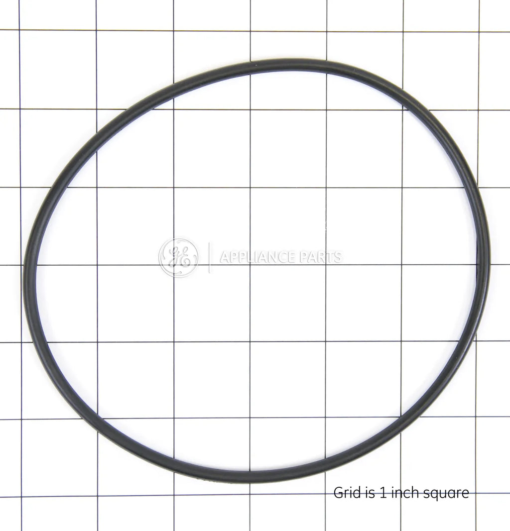 GE Water Filter O-Ring WS03X10054