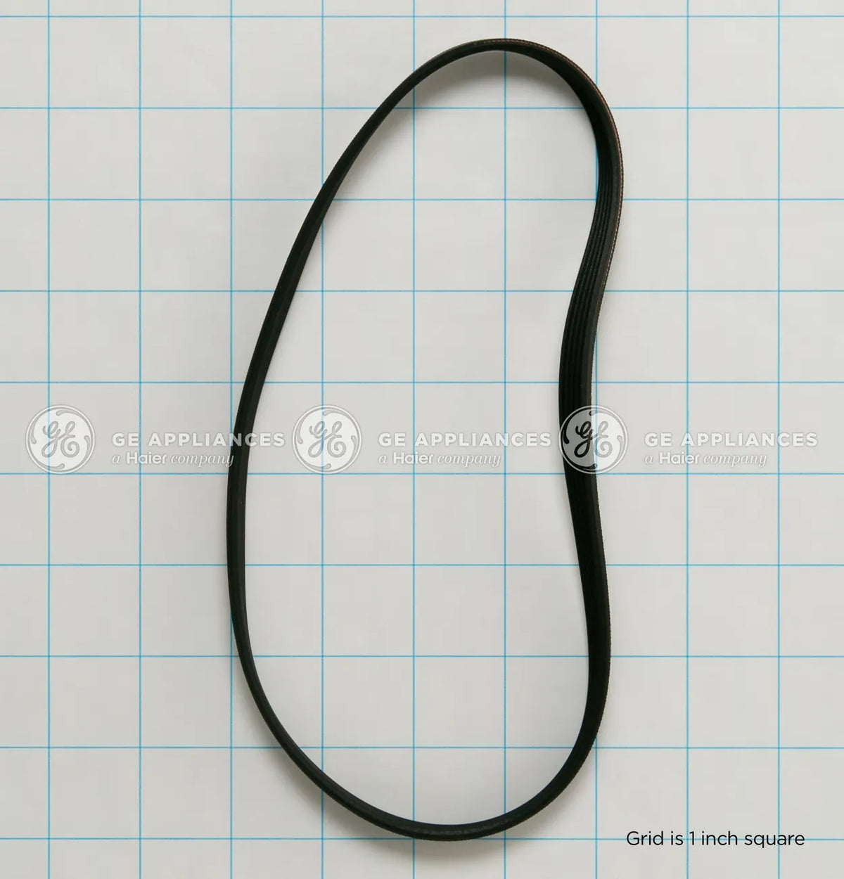 GE Washer Drive Belt WH01X24697