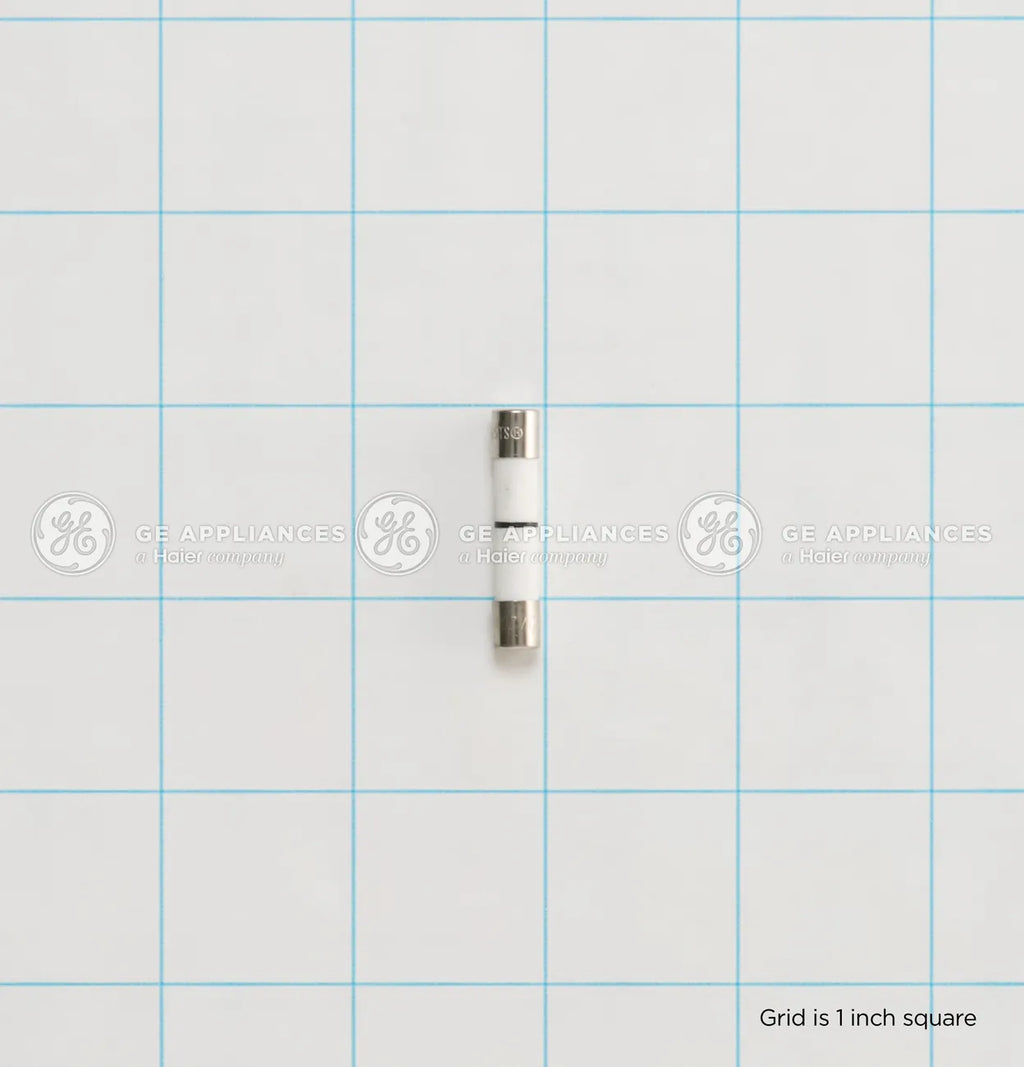 GE Microwave Line Fuse WB27X25389