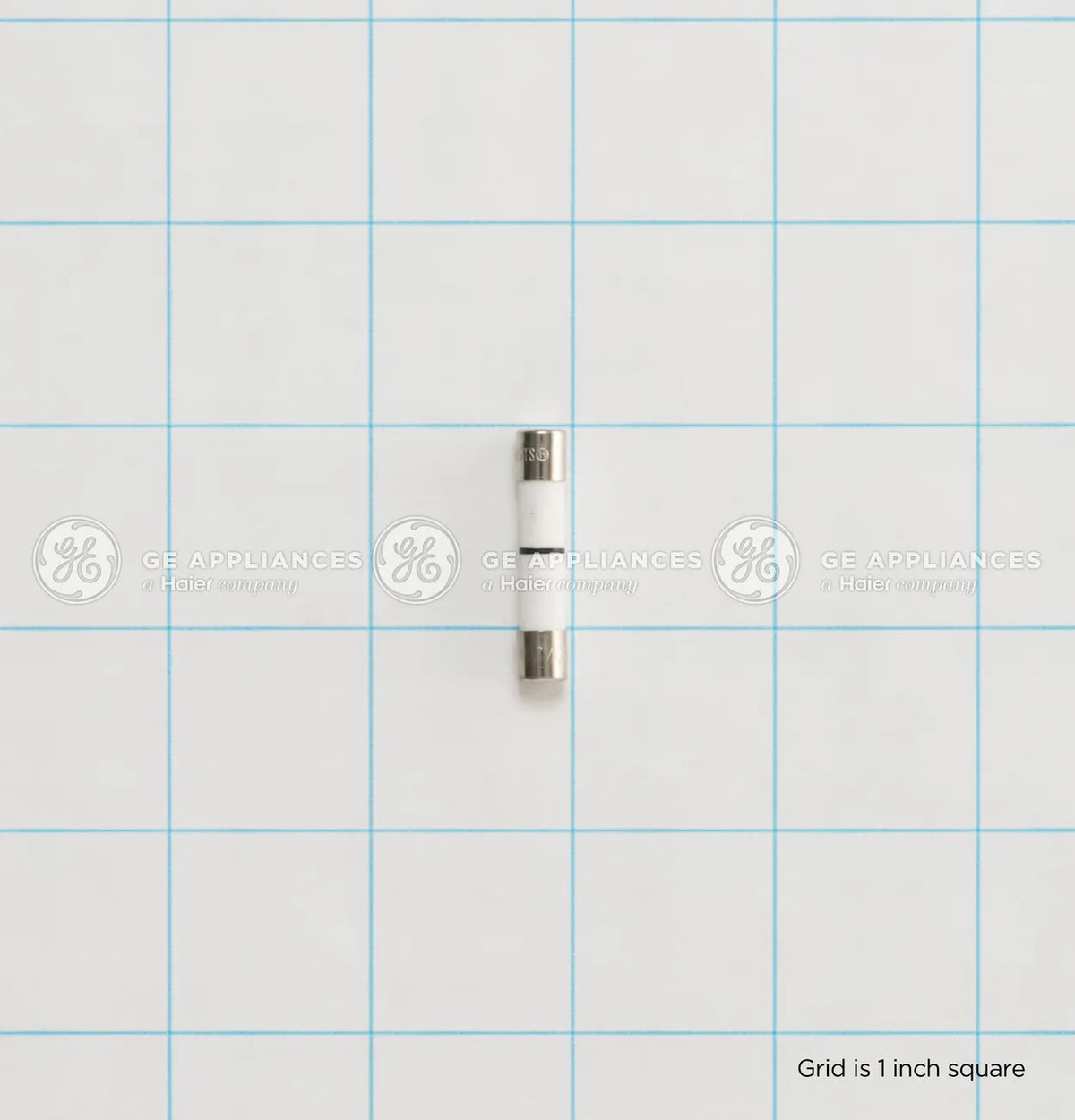 GE Microwave Line Fuse WB27X25389