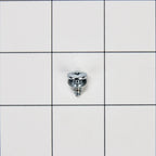 Whirlpool Range Screw WP3196557